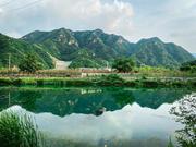 blickwinkel的个人资料头像