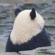 Carbon14的个人资料头像