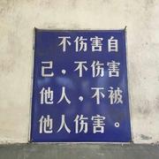 芍药灼灼的个人资料头像