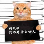 西个瓜皮的个人资料头像