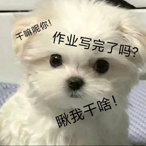 运筹帷幄豆花头像