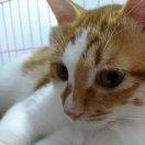 熊猫同学69110的个人资料头像