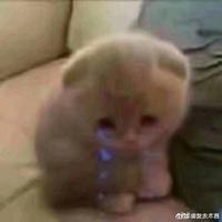 ㏑e头像