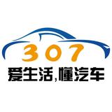 307树车市新风头像