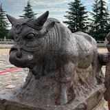 走走停停看看365头像