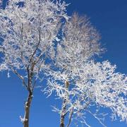 Sugar酱30812的个人资料头像