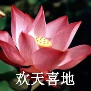 春暖花开头像