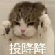 我也不想去去啊11
                        头像