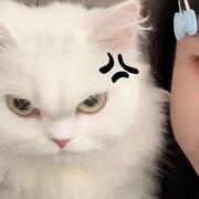 Myself9的个人资料头像