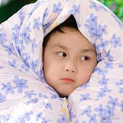 一颗小肉丸儿的个人资料头像