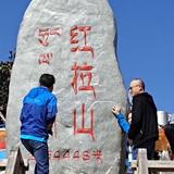 风姿卓越星辰W6头像