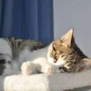 默默酱的个人资料头像