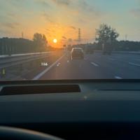 萝卜是个坏萝卜头像