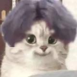 撸起袖子7737头像