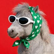 Look噜渴的个人资料头像