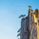 幽默漂流瓶ZM头像