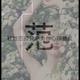 范亮266头像