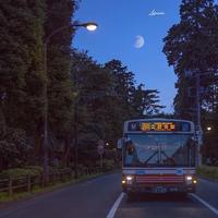 捡垃圾的糖糖头像