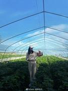 Dear迪的个人资料头像