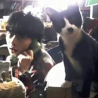 永远少年156头像