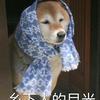soso头像