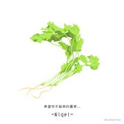 Tianlan的个人资料头像