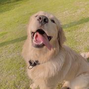 Cavin96的个人资料头像