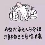 用户7319253293699520头像