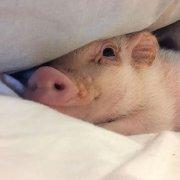 燃萌少校的个人资料头像