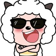 小叶695的个人资料头像