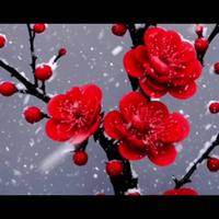 一心一意的人儿头像