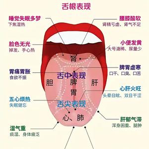 永康人生头像