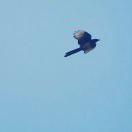 海水不解渴的个人资料头像