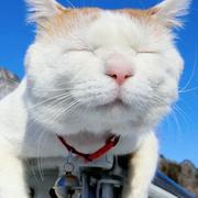 丰盛的个人资料头像