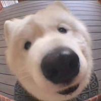 湖口最后的深情头像