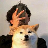 安年Lz头像