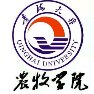 青海大学农牧学院团委头像