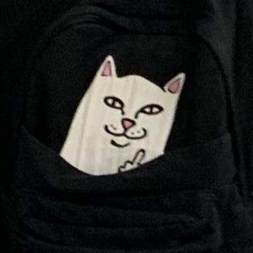 配置表云评车头像