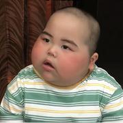 猫不吃芒果的个人资料头像