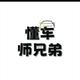 懂车师兄弟头像