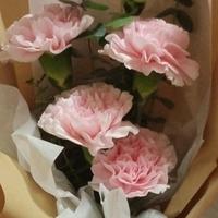 灿烂漂流瓶tZo头像