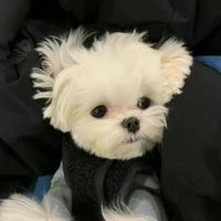 用户6147215818625头像