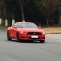 iMustang头像
