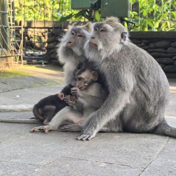 好名字也怕狗咬头像