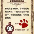 小也乱七八糟头像