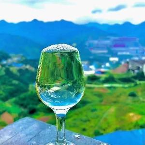 酒小萌9.0头像