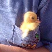 青云远景的个人资料头像