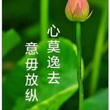 宝宝妈06088头像