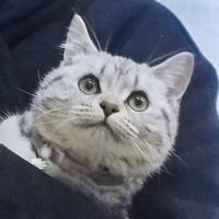 ㅤㅤㅤ21031头像