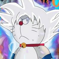 steven110头像